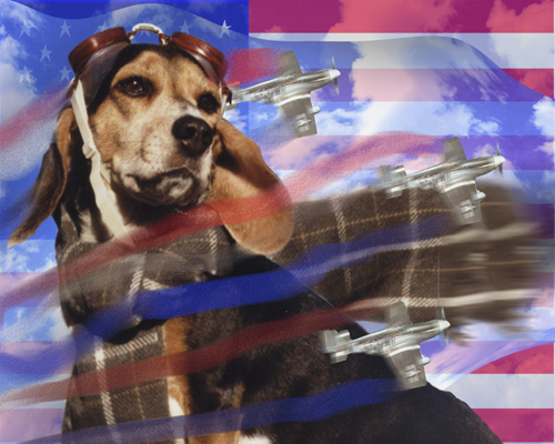 Daisy! WWII pilot (after Snoopy)